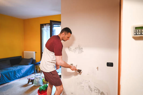 Best Crawl Space Mold Removal  in East Richmond Heights, CA